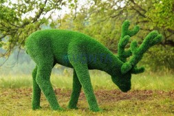 Топиари олень, пасется — газон Eco Green