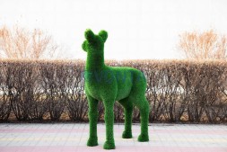 Топиари композиция косули — газон Deluxe