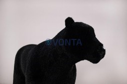 Топиари пантера — газон Eco