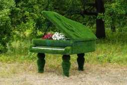 Топиари рояль Софии — газон Deluxe