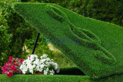 Топиари рояль Софии — газон Deluxe