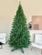 Ель «Рождественская» - 3 м