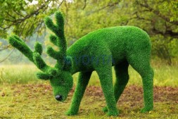 Топиари композиция олени, олень и две самочки — газон Eco Green