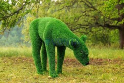 Топиари композиция олени, олень и две самочки — газон Eco Green