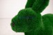 Топиари заяц Чики, h=80см — газон Delexe Green