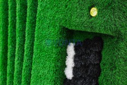 Топиари баян — газон Eco Green