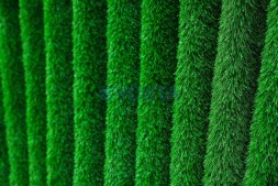 Топиари баян — газон Eco Green