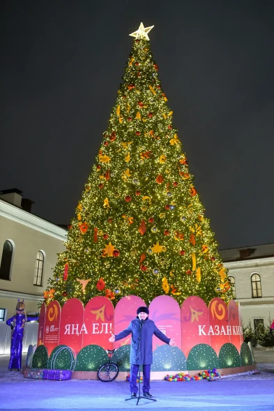 Ель ствольная «Светодинамическая Альпийская» - 13 м