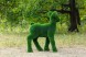 Топиари олень, малыш Сева — газон Deluxe