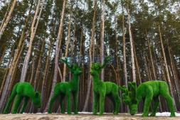 Топиари композиция олени, семья Черничная, 4 шт — газон Eco + Premium