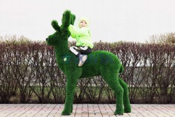 Топиари олень, малыш Орех, h=155 см- газон Eco Green