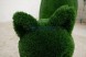Топиари кошка Лана — газон Deluxe Green