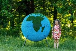 Топиари композиция глобус, 2 шт — газон Eco