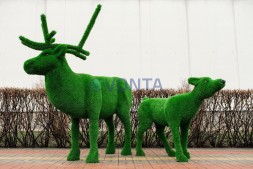Топиари композиция олени, малыш и папа — газон Eco