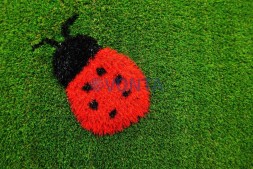 Топиари шар поляна, h=190 см — газон Eco