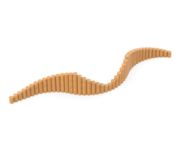 Дорожка пеньков, 891.08.01