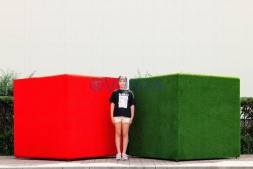 Топиари композиция геометрические фигуры, кубы, большая, 2 шт — газон Eco