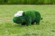 Топиари поросенок в кепке — газон Eco