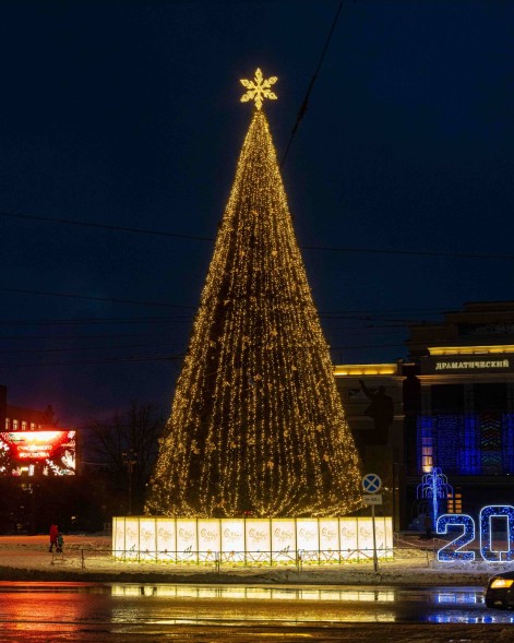 Ель ствольная «Альпийская» - 7,5 м