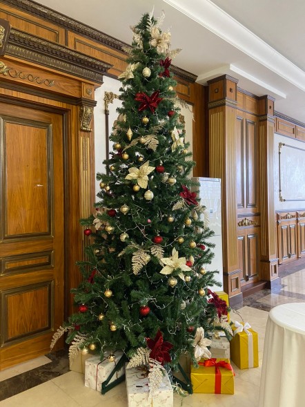 Ель «Рождественская» - 7 м