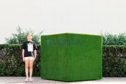 Топиари куб, зеленый, большой — газон Eco