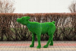 Топиари композиция семья олени Вудс — газон Есо+Deluxe Green