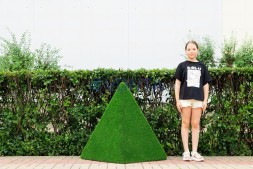 Топиари композиция геометрические фигуры, пирамиды, 2 шт — газон Eco