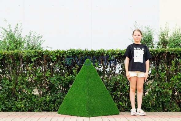 Топиари композиция геометрические фигуры, пирамиды, 2 шт — газон Eco