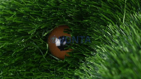 Топиари медведь Потапыч, h=250 см — газон Deluxe Green