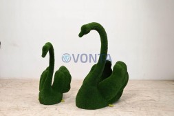 Топиаири лебедь Жаклин — газон Eco