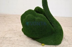 Топиаири лебедь Жаклин — газон Eco