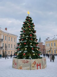 Уличная каркасная елка «Беловежская» 6 м