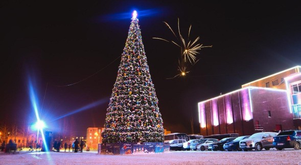 Сосна каркасная «Уральская» - 31 м