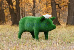 Топиари поросенок в панаме — газон Eco