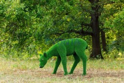Топиари композиция олени, семья Форест, 4 шт — газон Eco