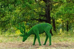 Топиари композиция олени, семья Форест, 4 шт — газон Eco