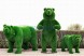 Топиари медведь Муни — газон Eco Green