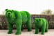 Топиари медведь Муни — газон Eco Green