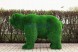 Топиари медведь Муни — газон Eco Green