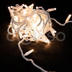 STR100-10M-220V-WW-W2,3