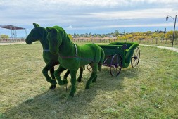 Топиари композиция карета с лошадьми — газон Есо