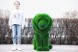Топиари лев Томас, h=110см — газон Deluxe