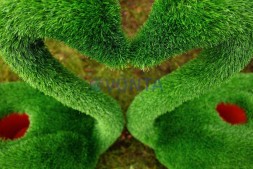 Топиари композиция лебеди Чепелия — газон Eco Green