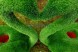 Топиари композиция лебеди Чепелия — газон Eco Green