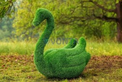 Топиари композиция лебеди Чепелия — газон Eco Green