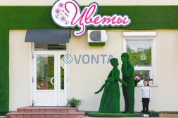 Топиари композиция сладкая парочка — газон Eco