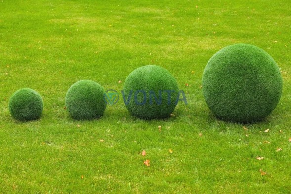 Топиари композиция шары в виде куста туи, 4 шт — газон Eco