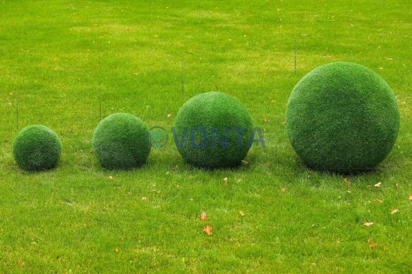 Топиари композиция шары в виде куста туи, 4 шт — газон Eco