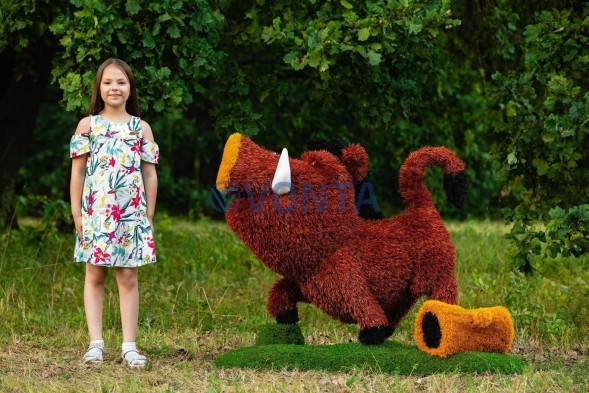 Топиари кабан Валери — газон Eco