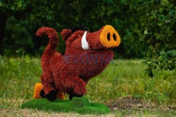 Топиари кабан Валери — газон Eco